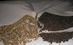 Lacné terapeutické vankúše